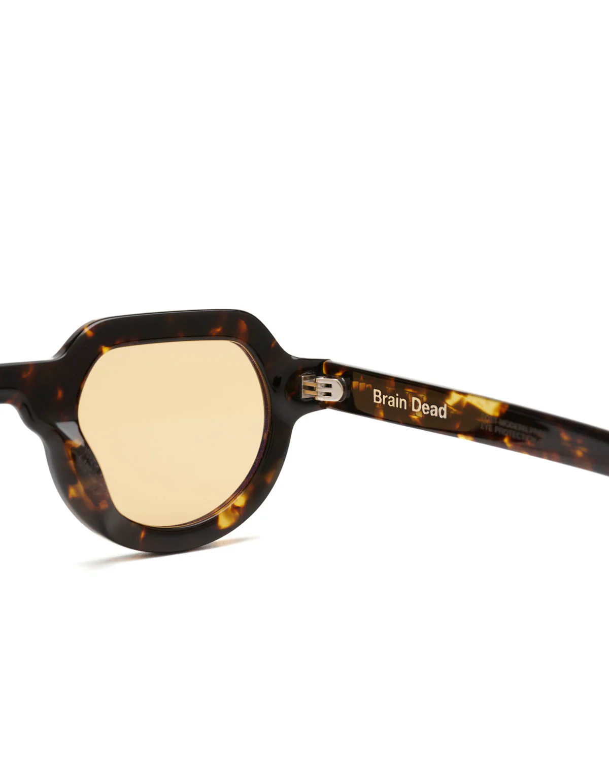 Tani Post Modern Primitive Eye Protection - Tortoise - Image 6